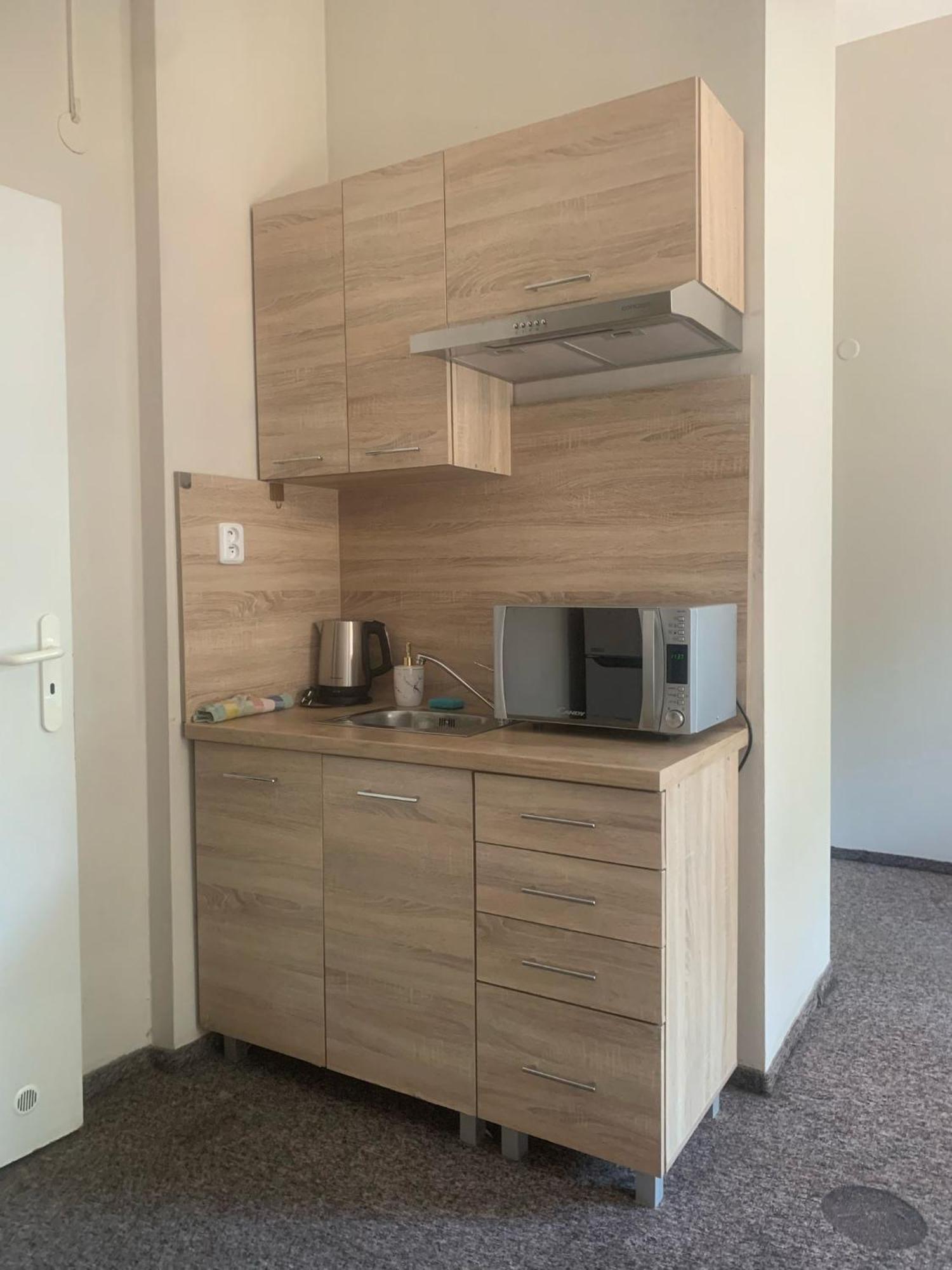 Thermal Apartments Teplice Pokoj fotografie